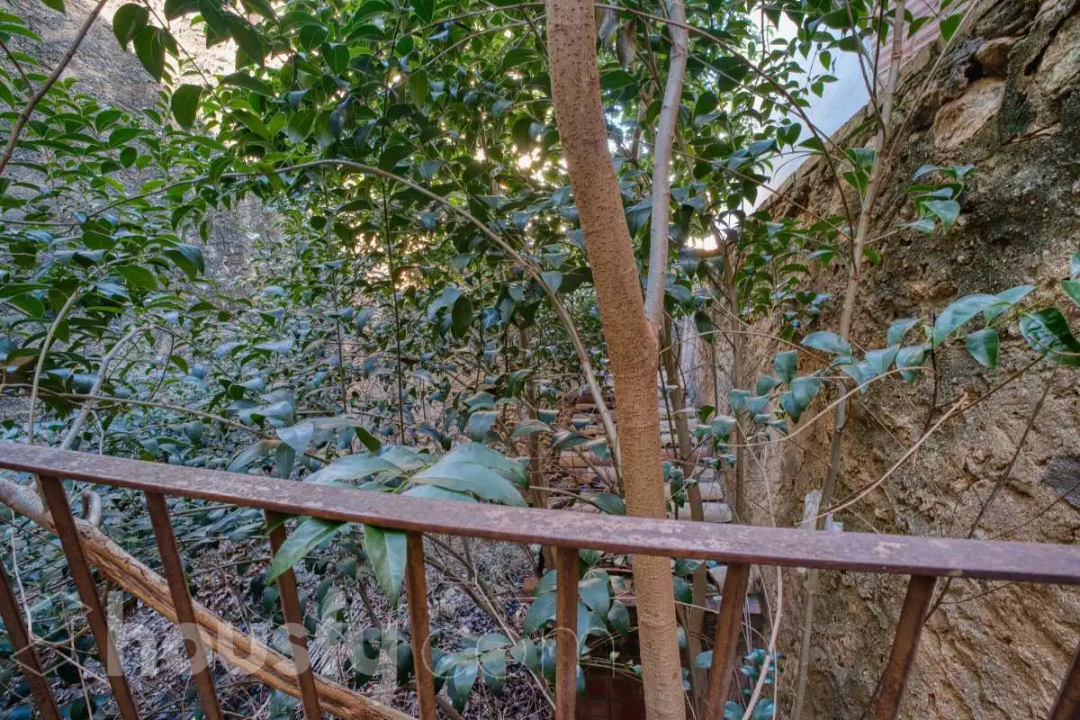 Jardín de Casa o chalet en venta en L'Arboç, Tarragona