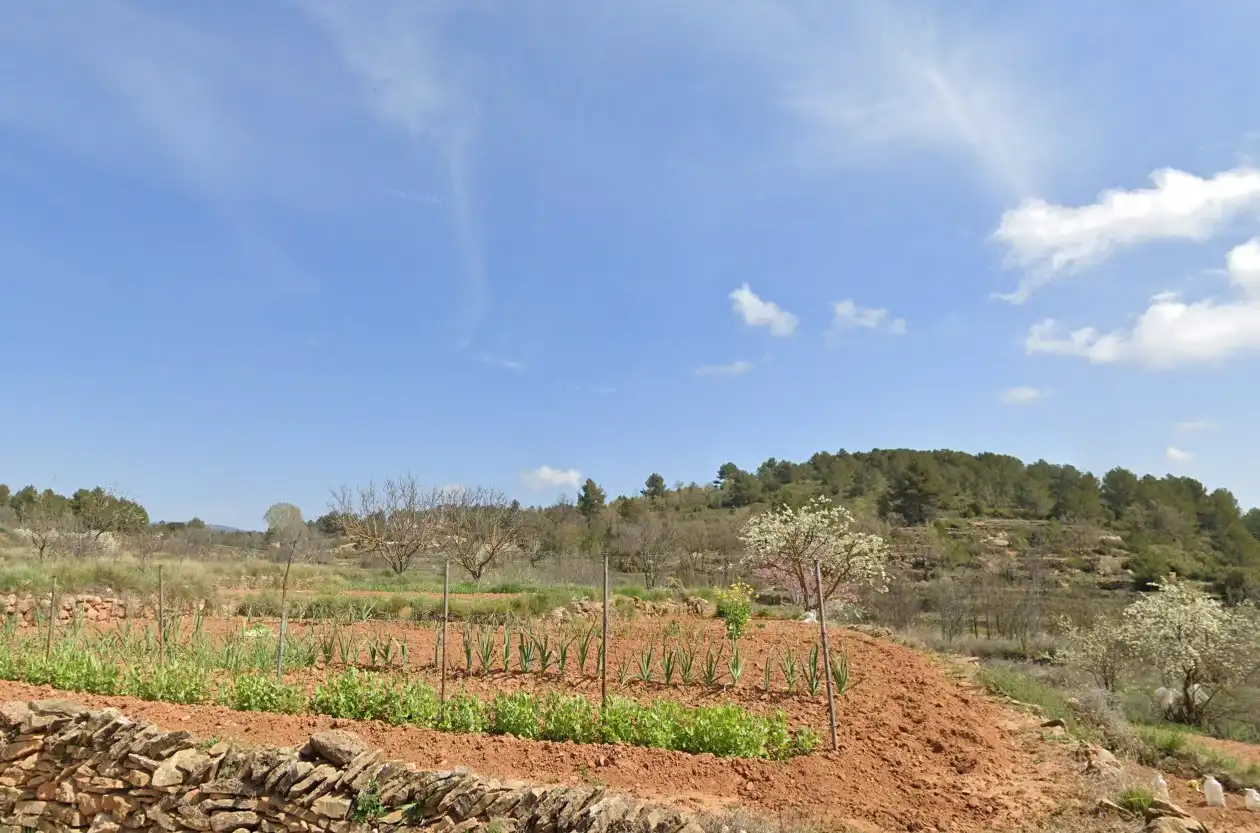 Garden of Land for sale in Cortes de Arenoso