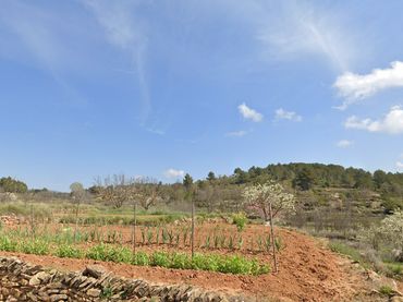 Terreno rustico in vendita a Cortes de Arenoso
