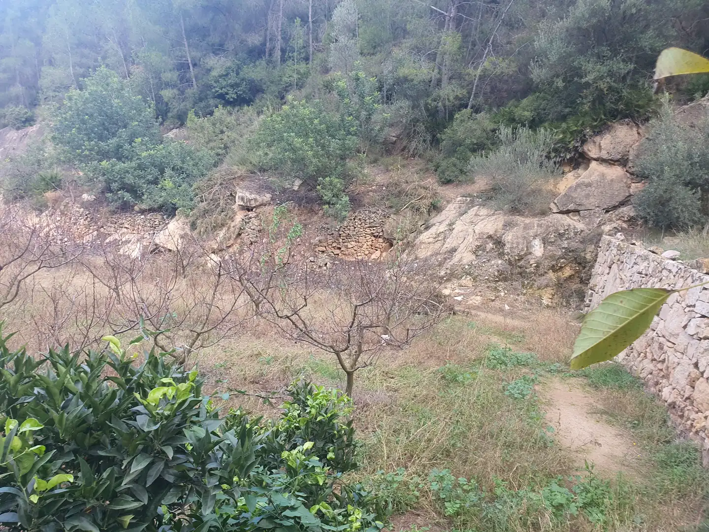 Terreno rústico en venta en Benifallet, imagen 2