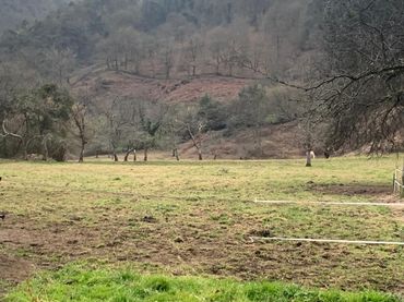 Terreno residenziale in vendita a Ribera de Arriba