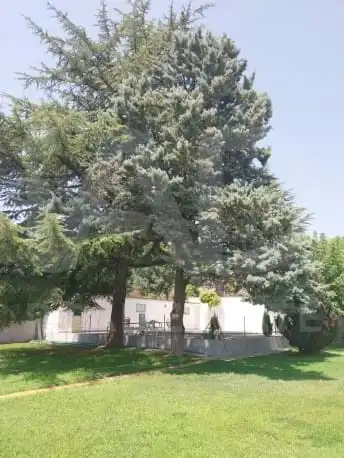 Garden of Residential for sale in La Sentiu de Sió