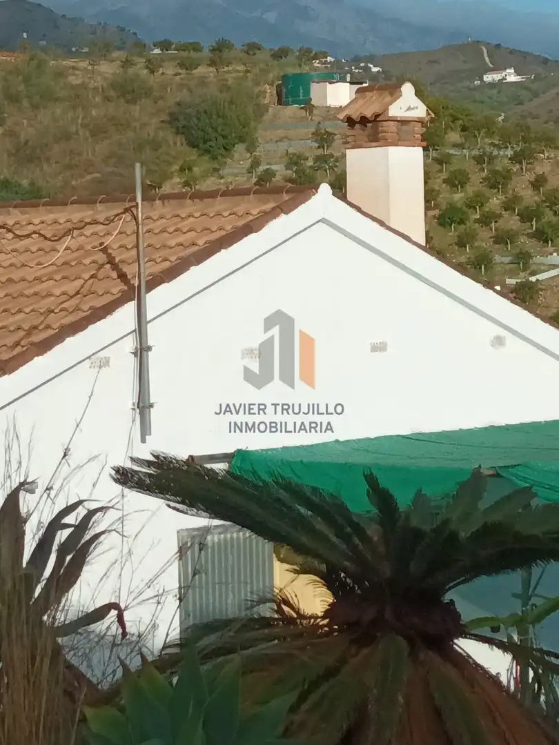 Vista exterior de Finca rústica en venta en Cútar con Terraza, Trastero y Piscina