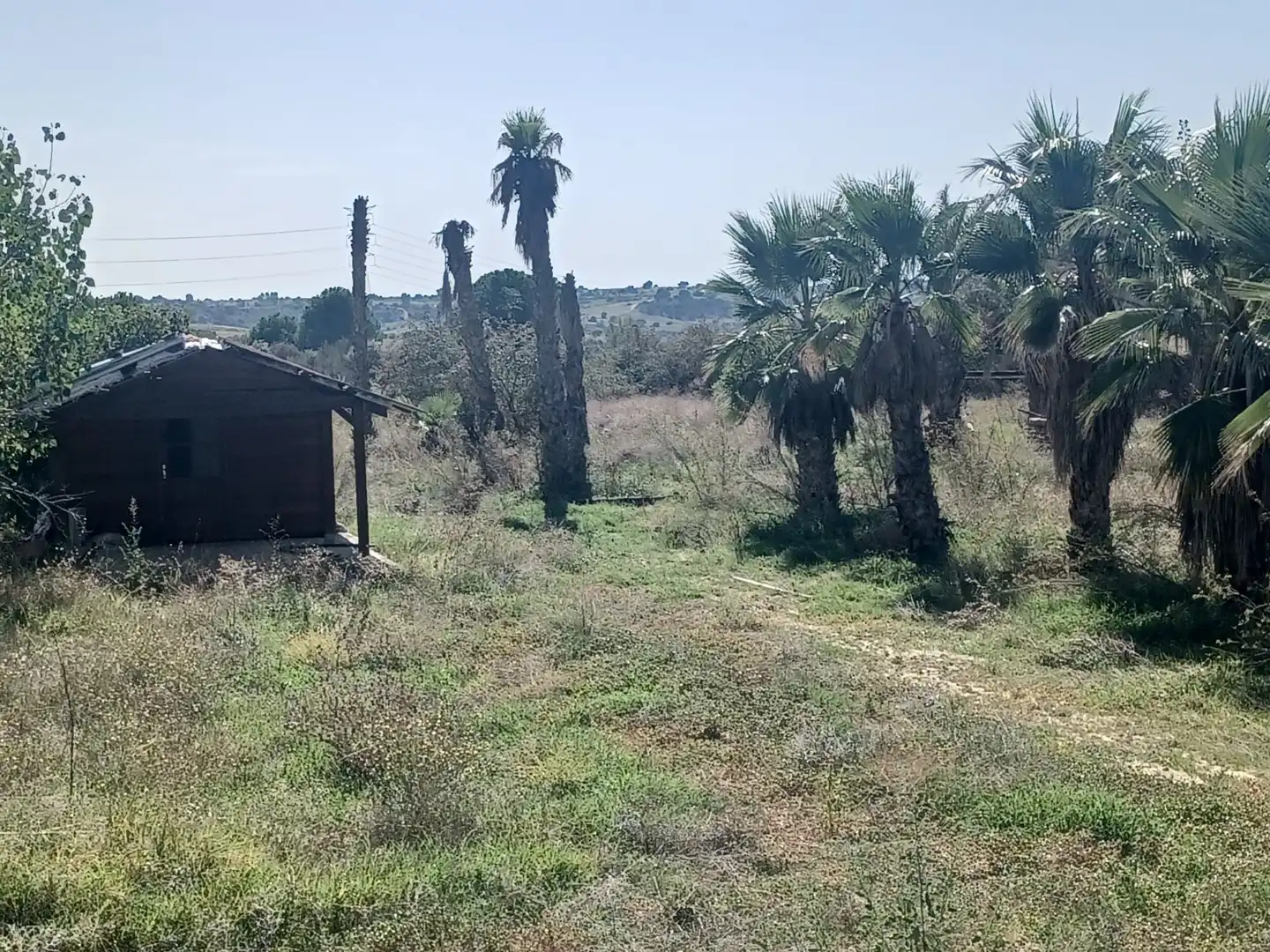 Terrain rustique à vendre à Arroyo Chico 2A, imagen 3