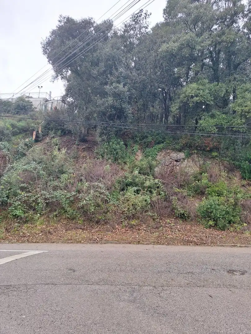 Residential land for sale in Carrer de la Serra de Sant Feliu 44, imagen 9