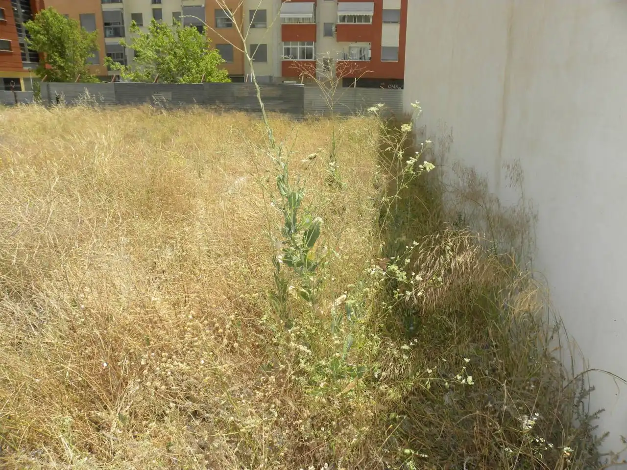 Residential for sale in Caravaca de la Cruz