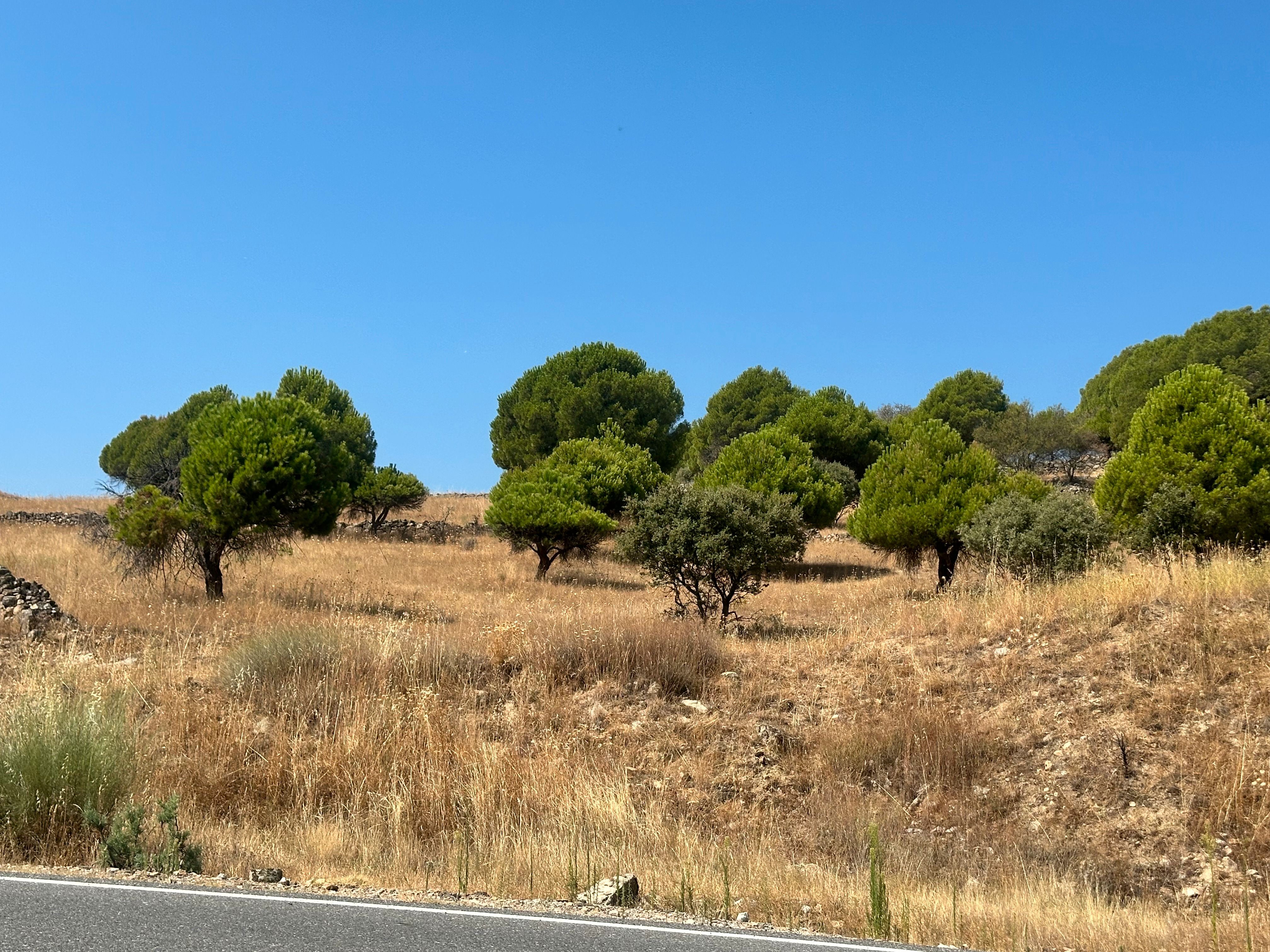 Grundstücke zum verkauf in El Hoyo de Pinares 