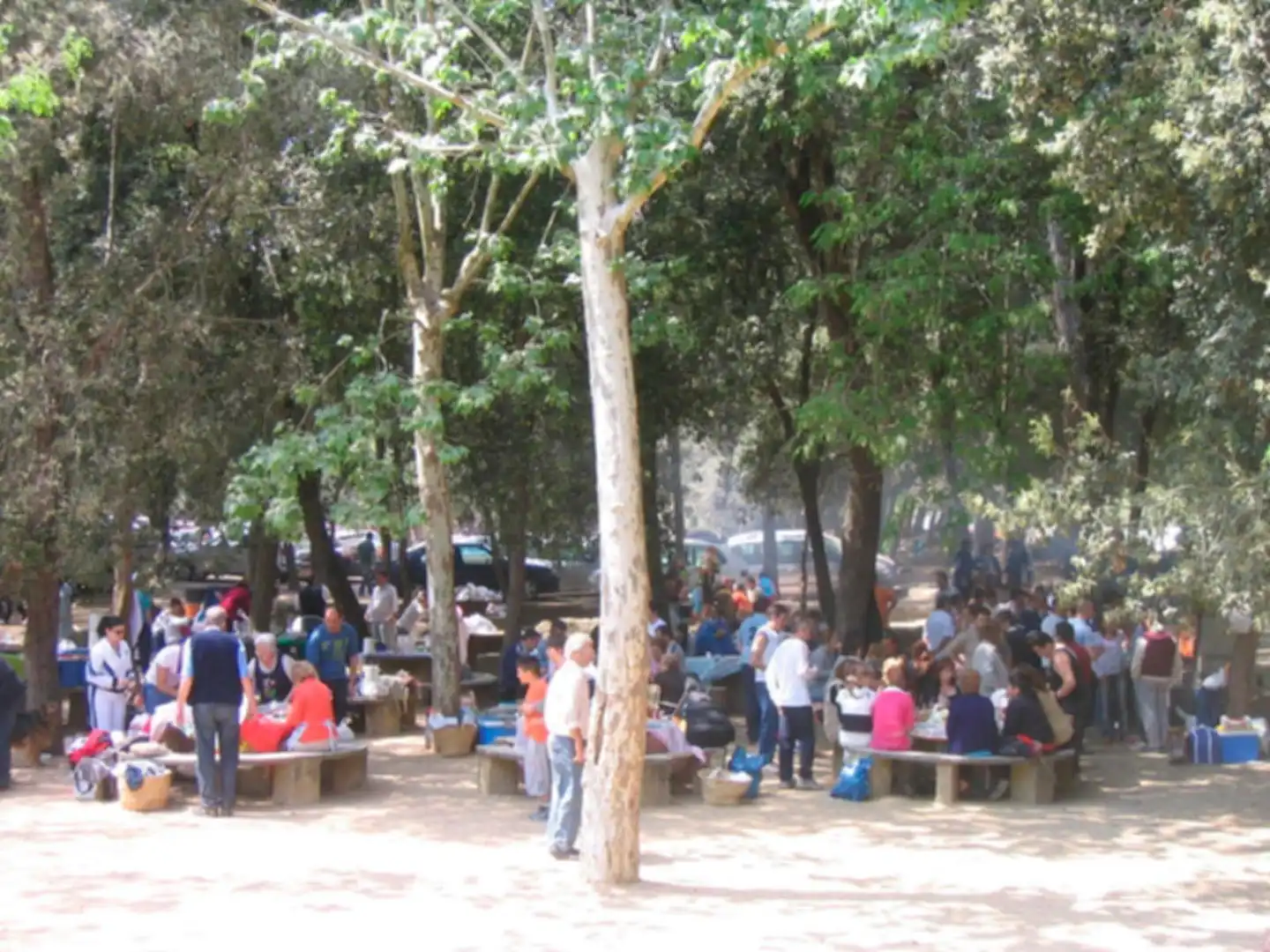 Vista exterior de Finca rústica en venda en Arenys de Munt