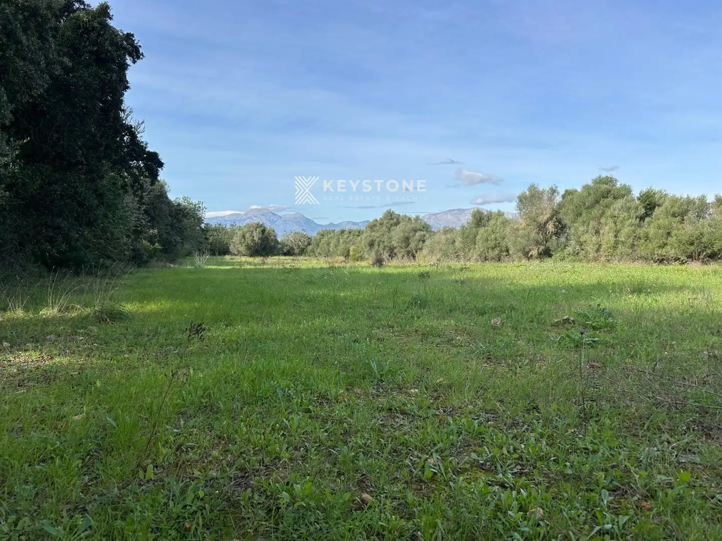 Rural land for sale in Muro, imagen 2