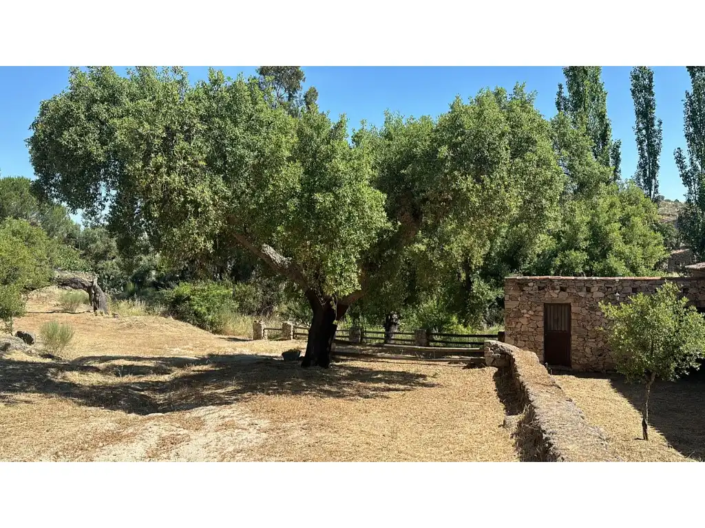 Casa o chalet de alquiler en Valencia de Alcántara con Piscina