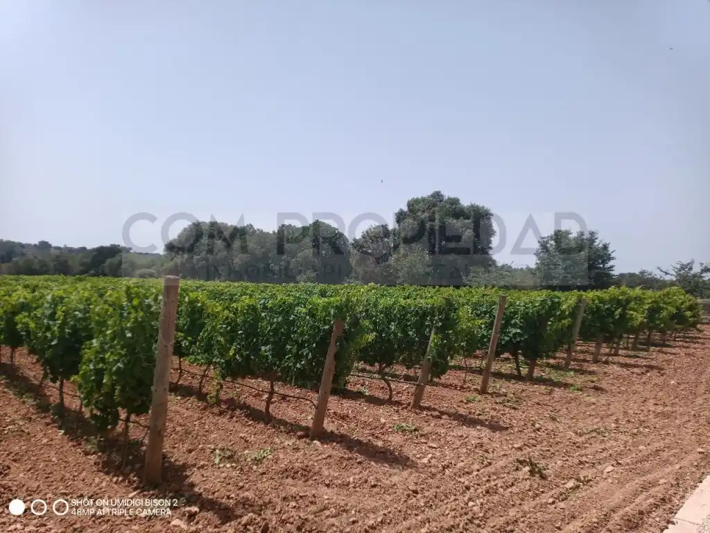 Houses for sale in Costitx