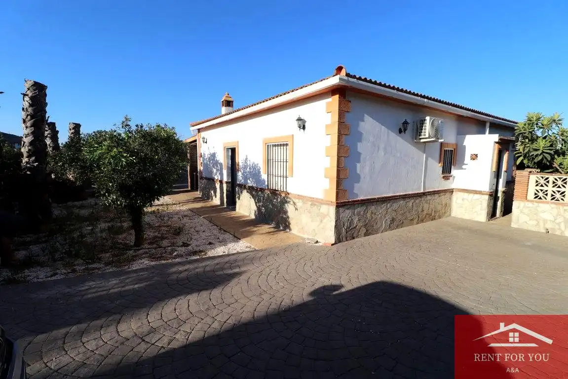 Casa con piscina en alquiler en Centro, imagen 15