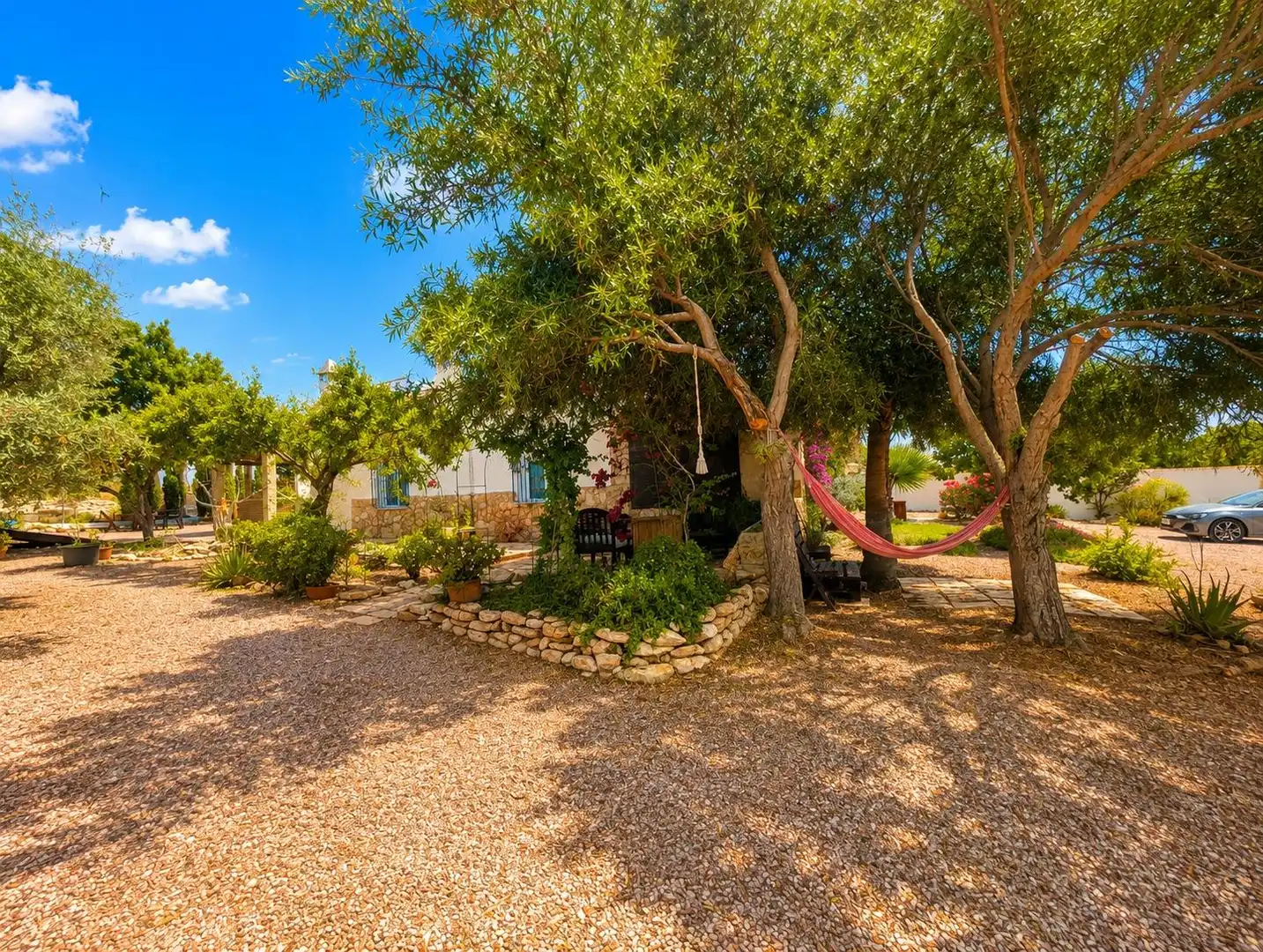 Garden of Houses for sale in Elche / Elx  with Private garden, Terrace and Swimming Pool
