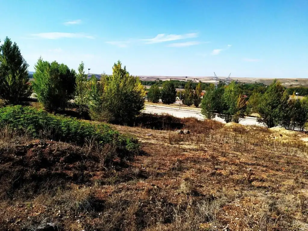 Land for sale in Buniel
