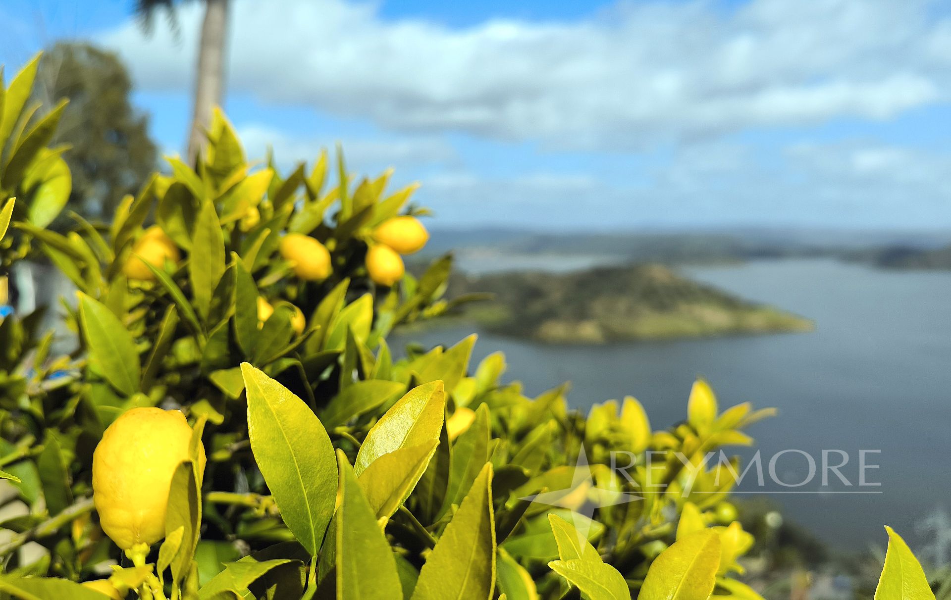 Casa o xalet en venda en Almodóvar del Río amb Aire condicionat, Calefacció i Jardí privat
