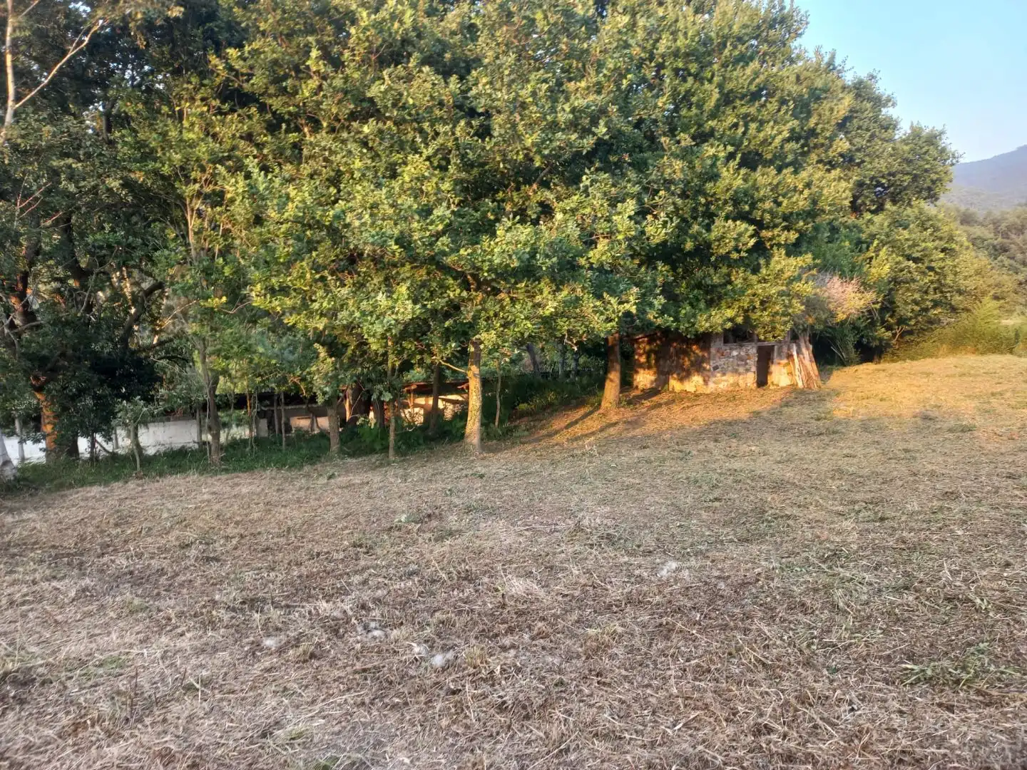 Terreno en venta en Bakio