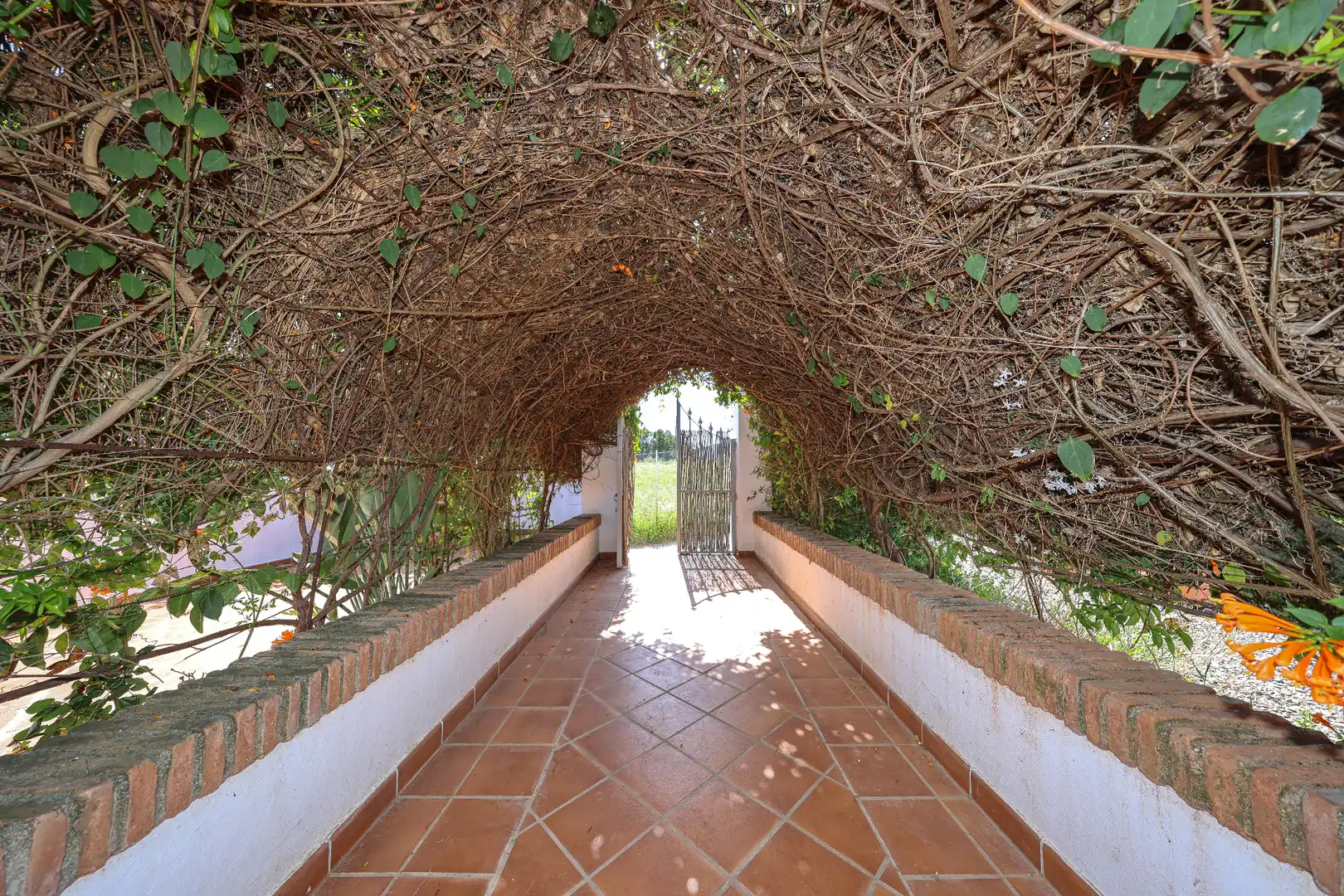 Casa amb piscina en venda a Diseminado Poligono 38, imagen 53