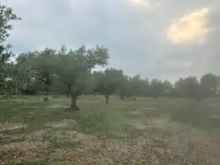 Terreny rústic en venda a San Rafael del Río, imagen 9
