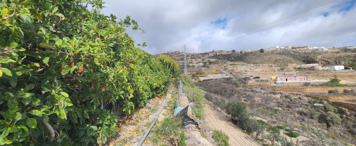 Terreno rustico in vendita a Vial Camino, imagen 25