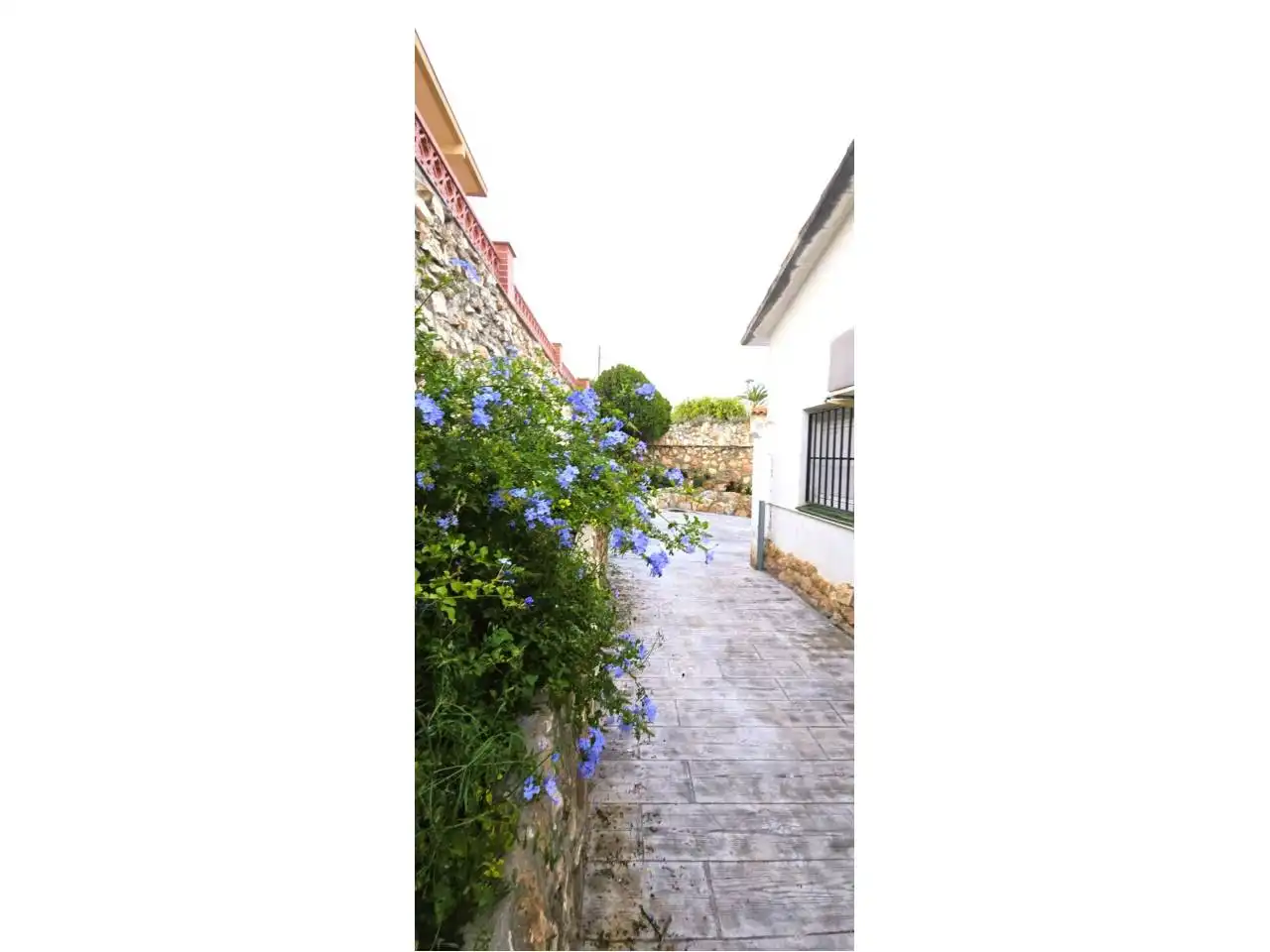 Jardí de Casa o xalet en venda en Creixell amb Aire condicionat, Calefacció i Moblat