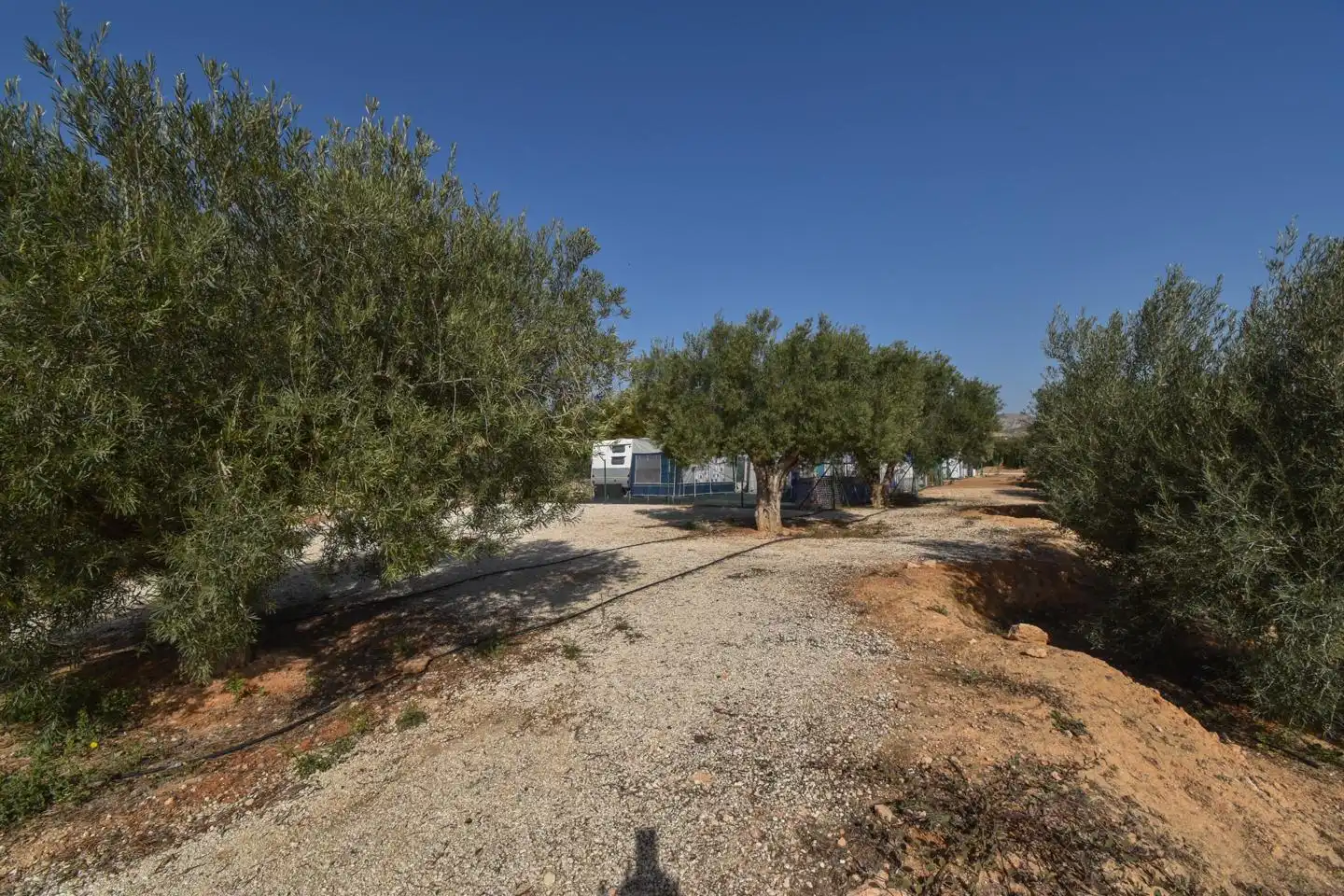 Rustikales Grundstück zum Verkauf in Partida Torrellano Alto, imagen 32
