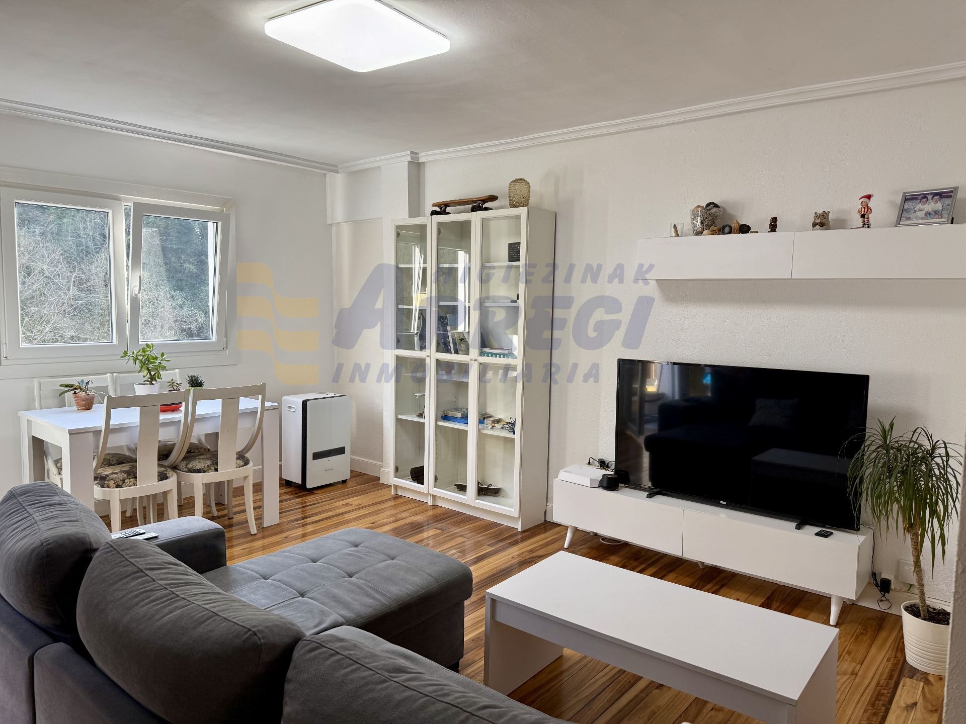 Living room of Flat for sale in Deba  with Furnished