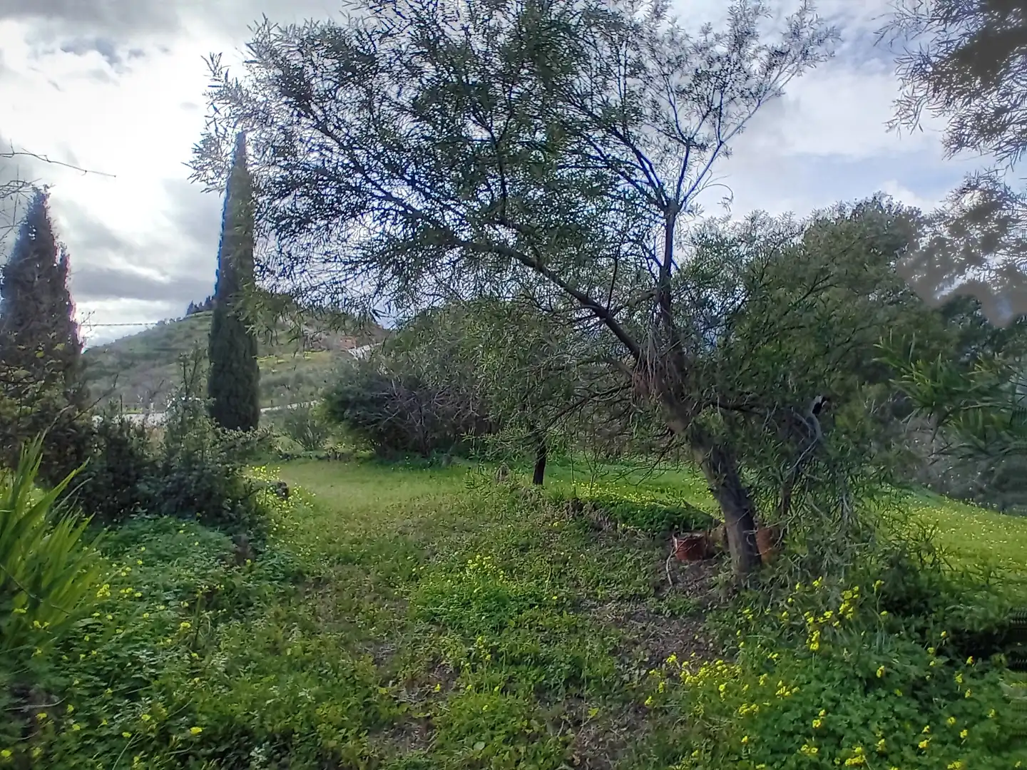 Casa rústica amb jardí en venda a Alozaina, imagen 27