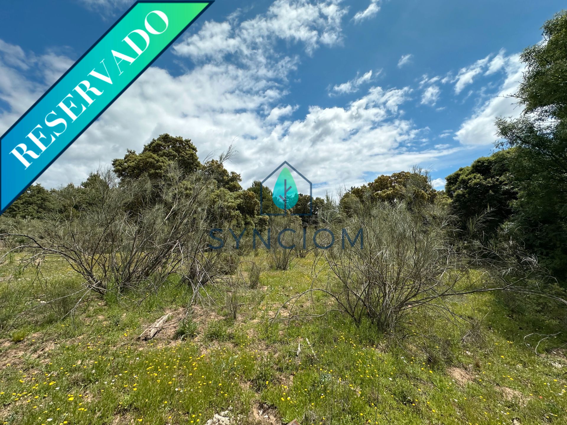 Terreno en venta en Avenida de Los Castillos, 1, Cerro Alarcón