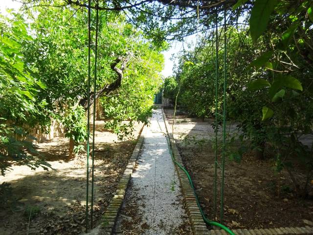 Casa adosada en Venta en Calle SEVILLA en Olivares