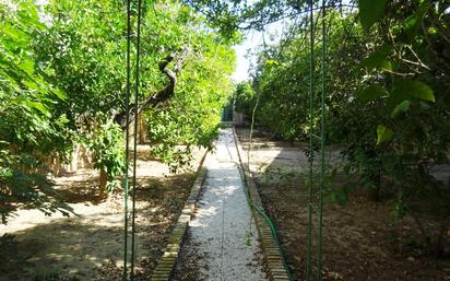 Jardí de Casa adosada en venda en Olivares amb Terrassa