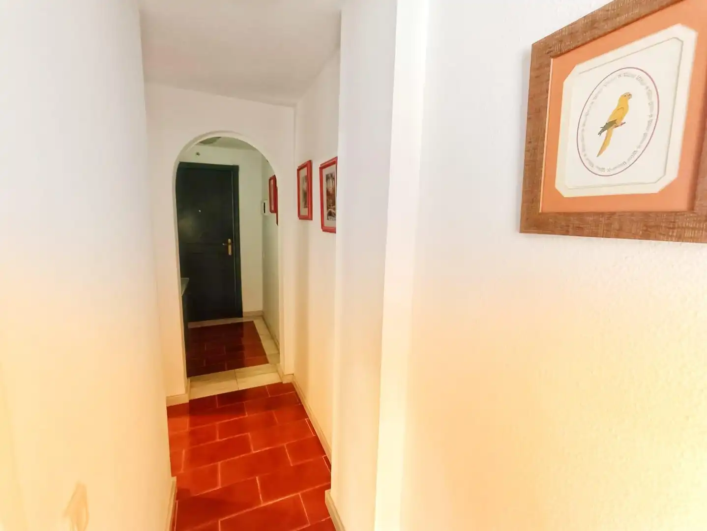Apartament en venda a Isla Canela, imagen 15