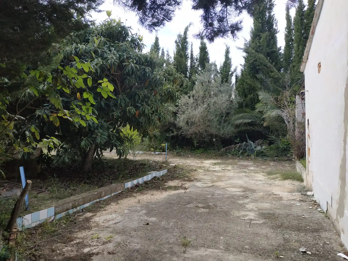 Houses for sale in Camps De Betilla (Dels), Albaida