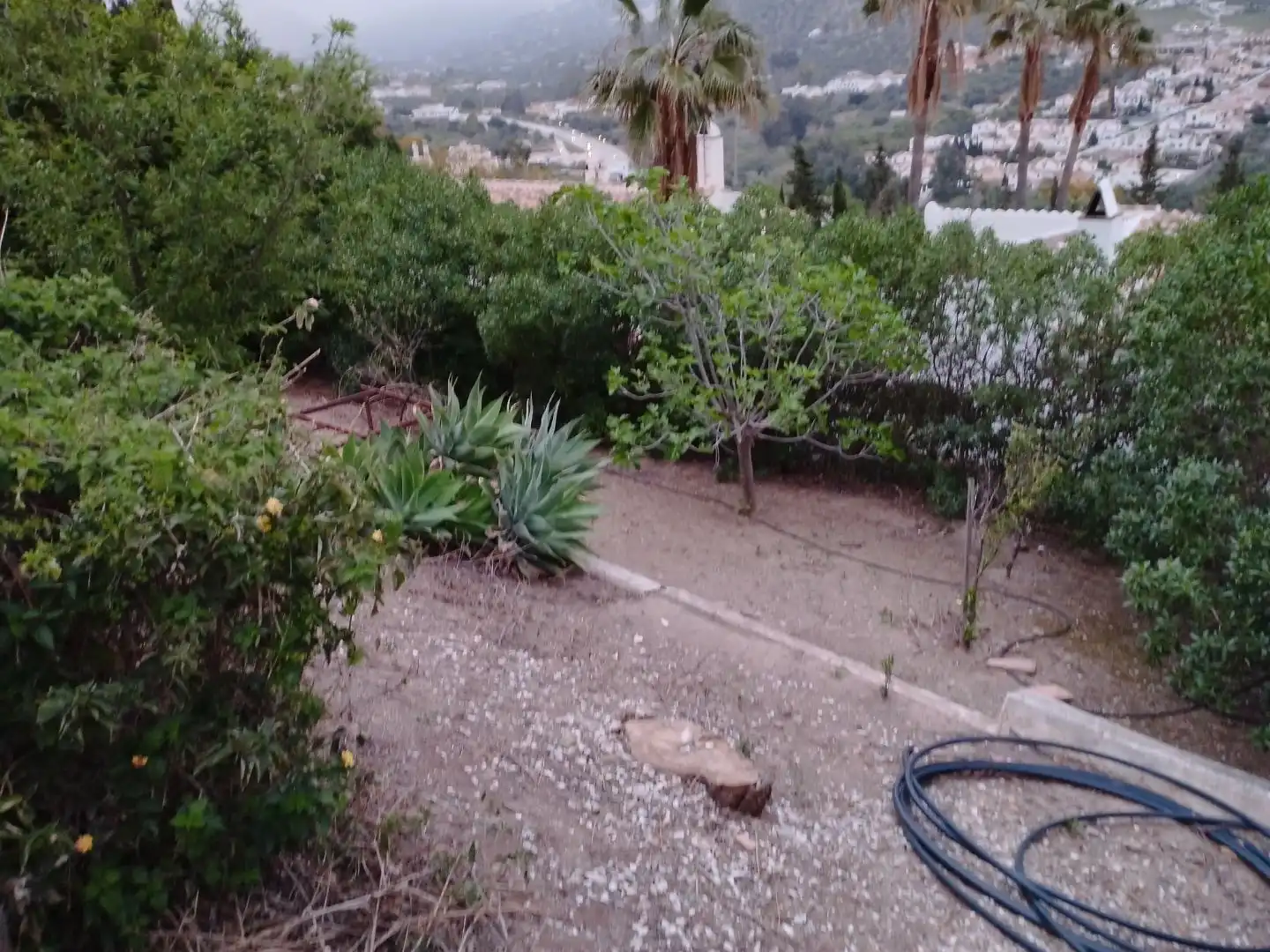 Jardí de Casa o xalet de lloguer en Viñuela amb Aire condicionat, Calefacció i Jardí privat
