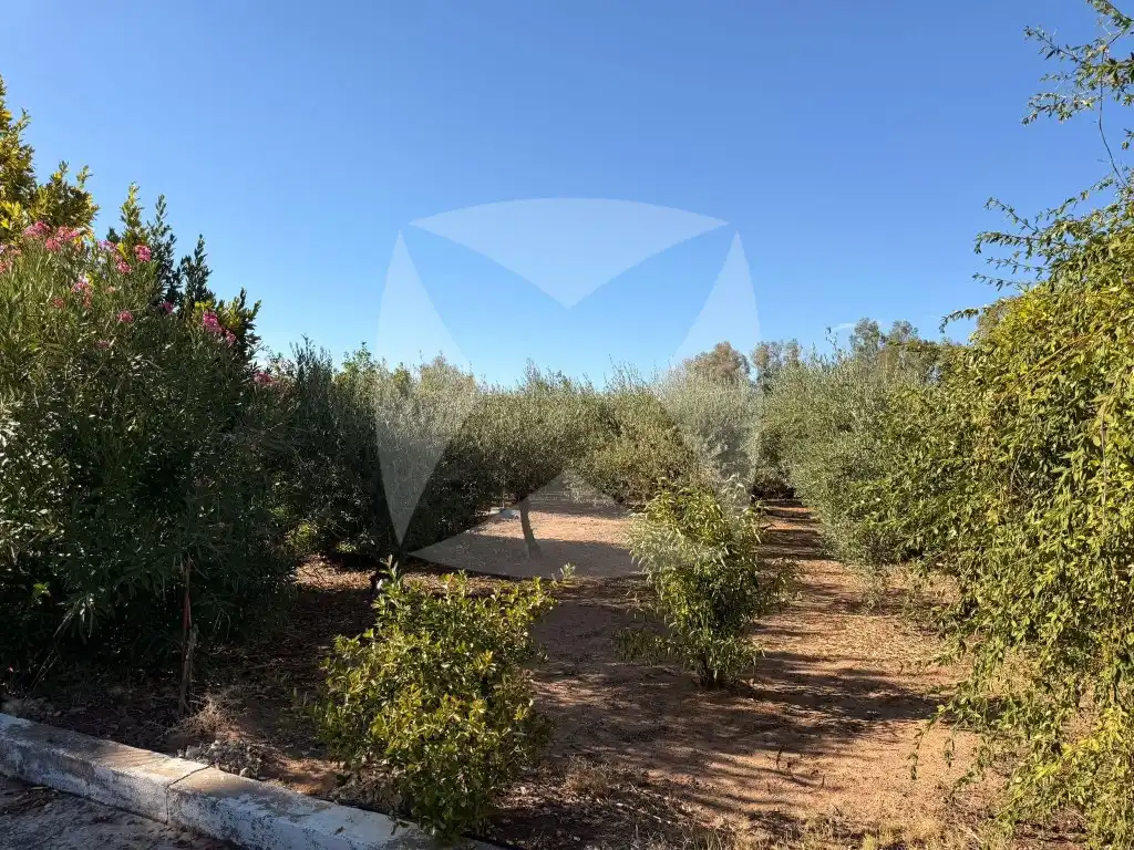 Residencial en venda en Badajoz