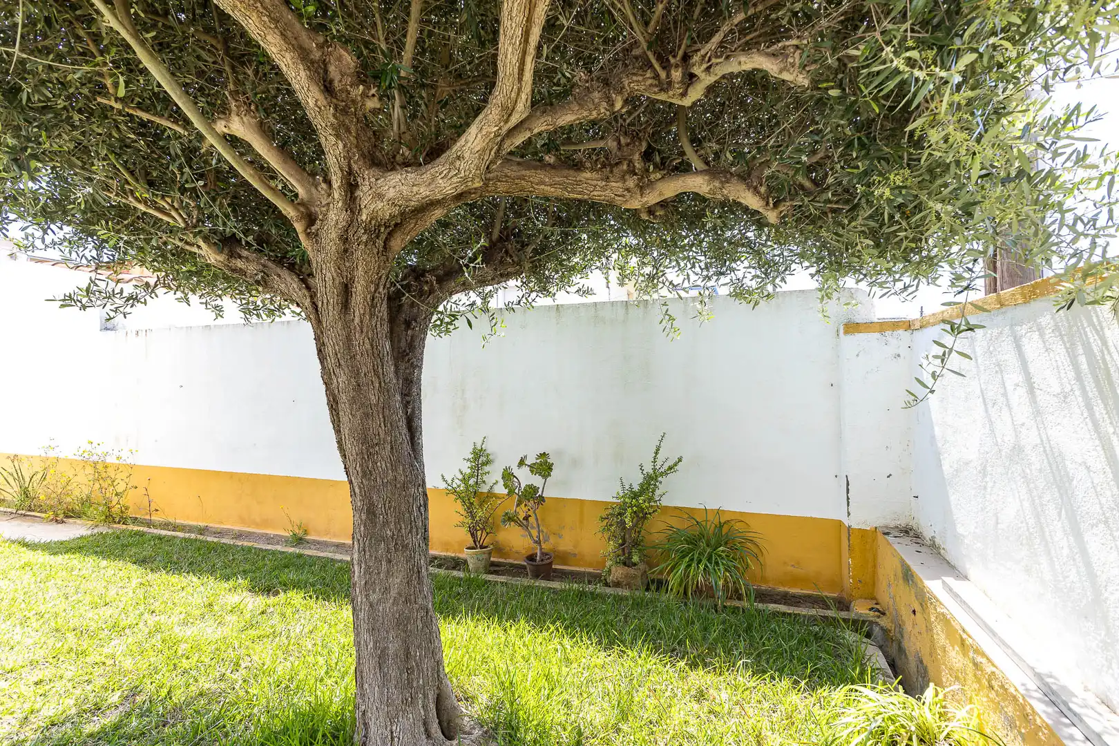 Jardí de Casa adosada en venda en Cubelles amb Aire condicionat, Calefacció i Jardí privat