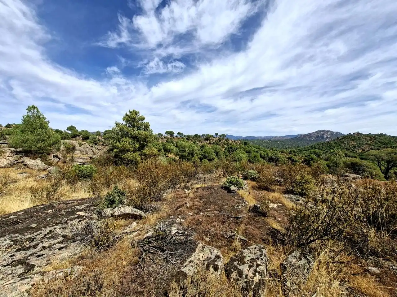 Terreny rústic en venda a Navahoncil, imagen 11