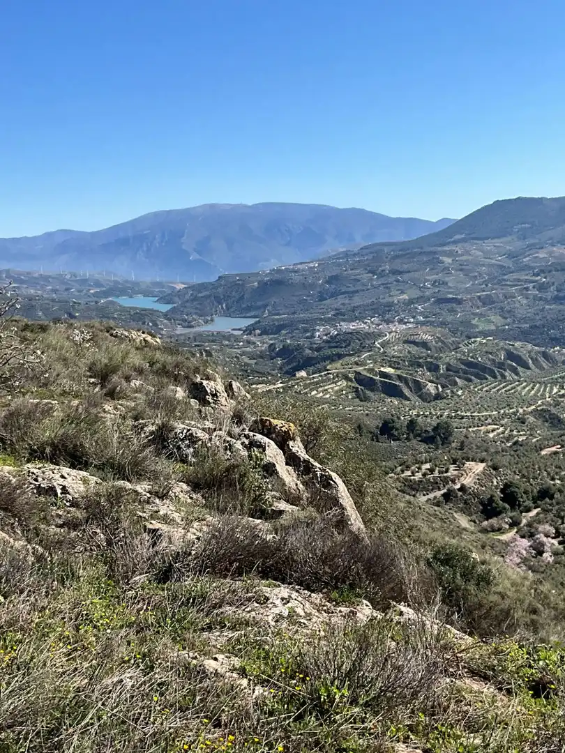 Terreni e lotti in vendita a El marchal, El valle, imagen 39