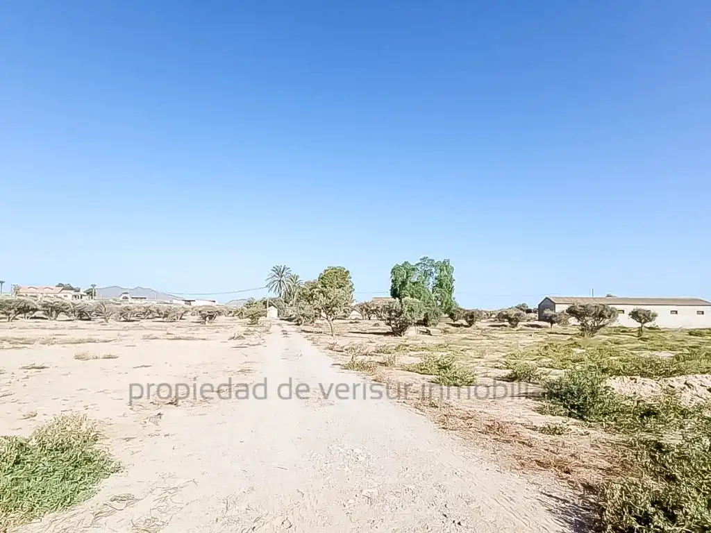 Country homes for sale in Lorca