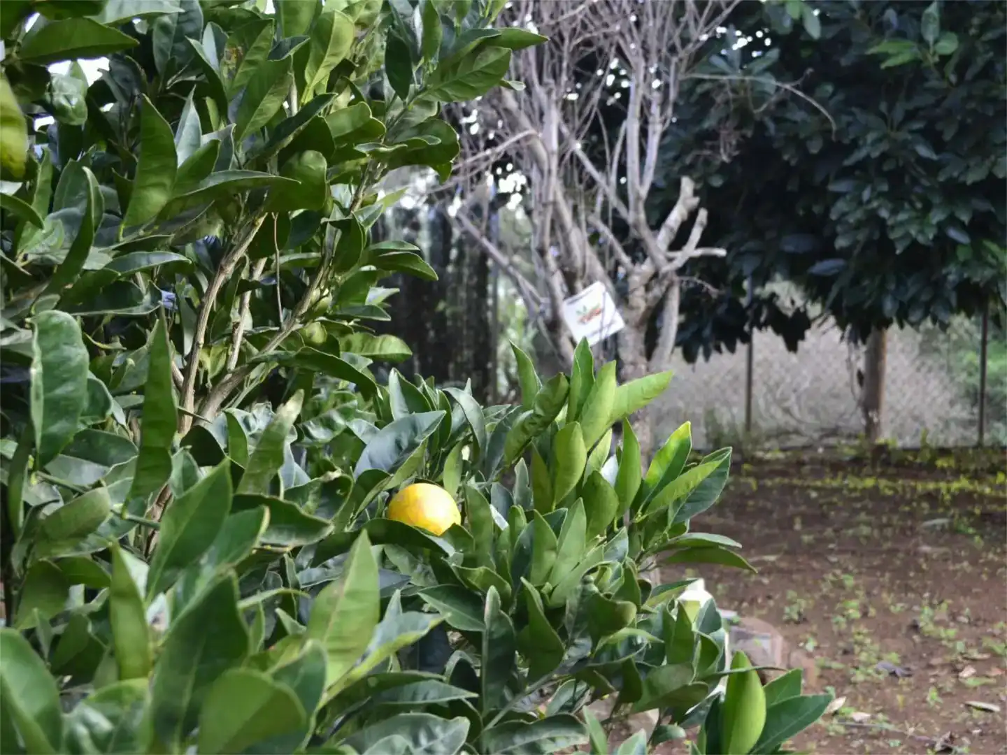 Jardín de Piso en venta en El Rosario con Aire acondicionado, Jardín privado y Balcón