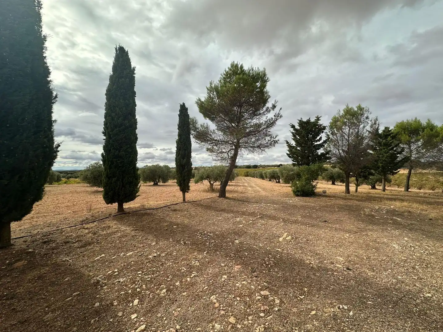 Finca rústica en venta en Quintanar de la Orden con Terraza y Trastero