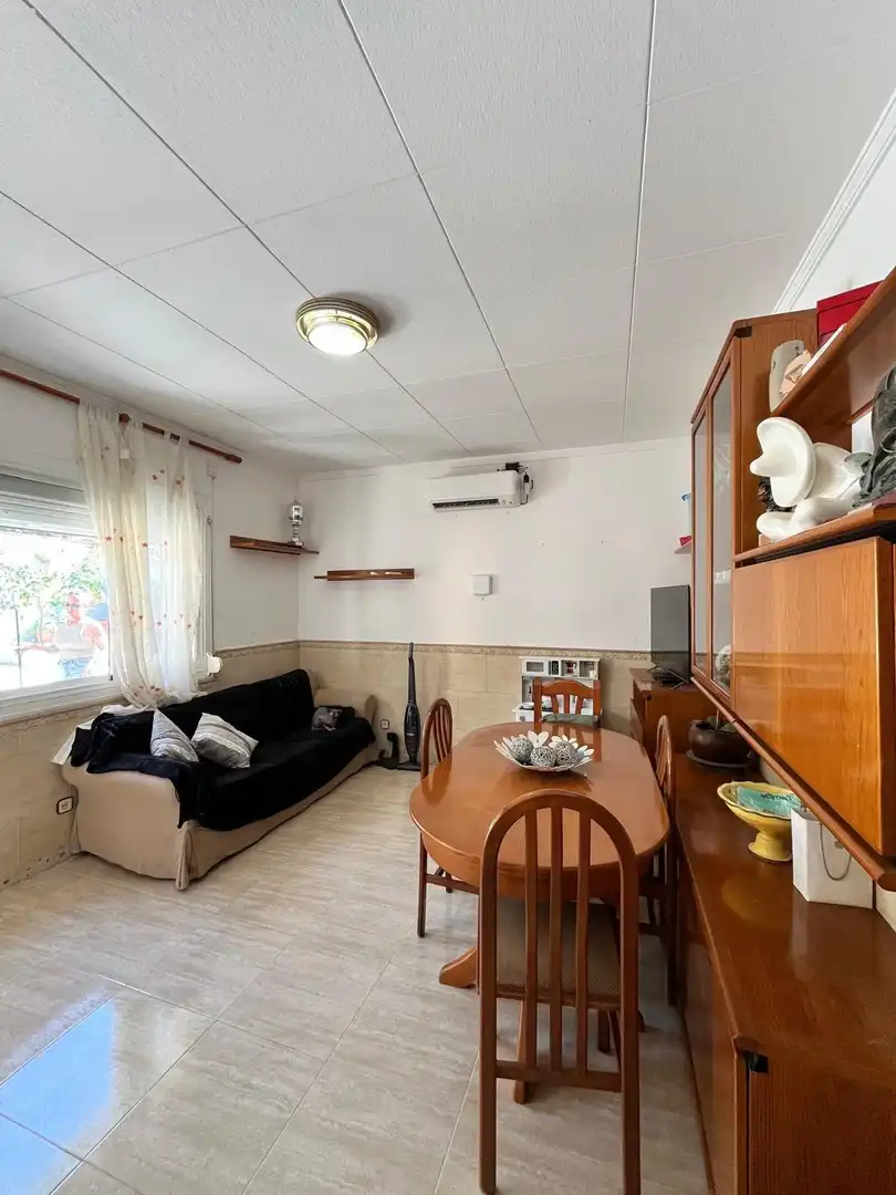 Sala de estar de Casa o chalet en venta en Sant Boi de Llobregat