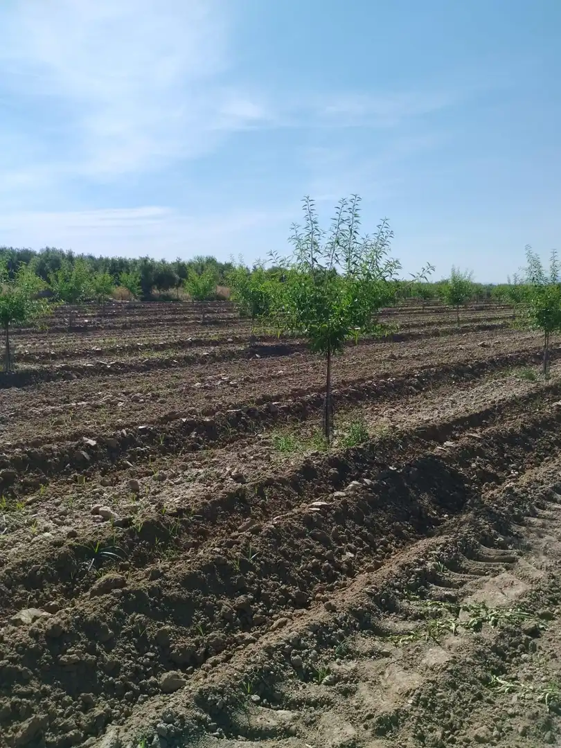 Terreni e lotti in vendita a Villa de Otura, imagen 15