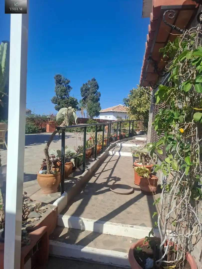 Jardí de Casa o xalet en venda en Almuñécar