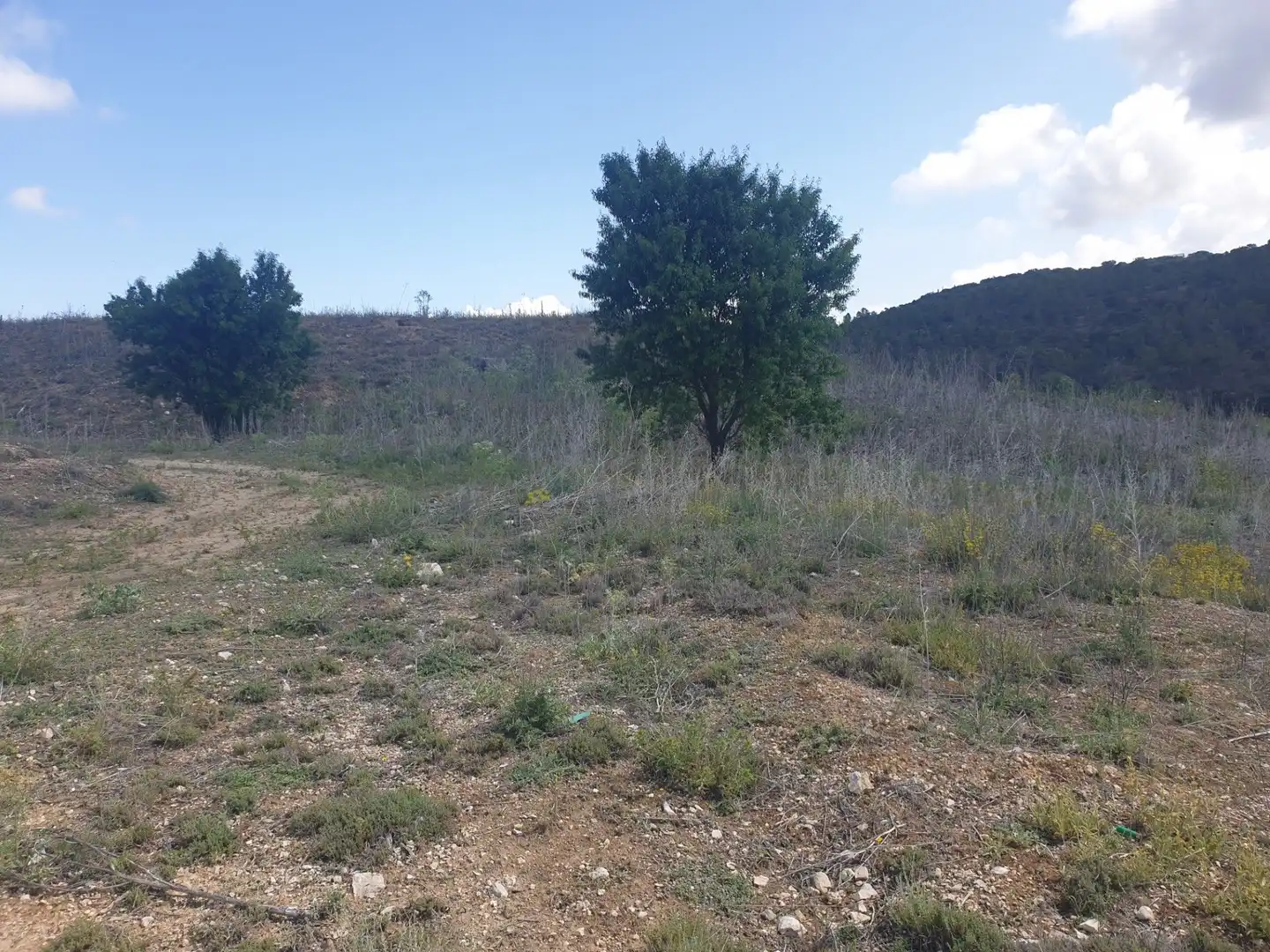 Residencial en venta en Valdelaguna