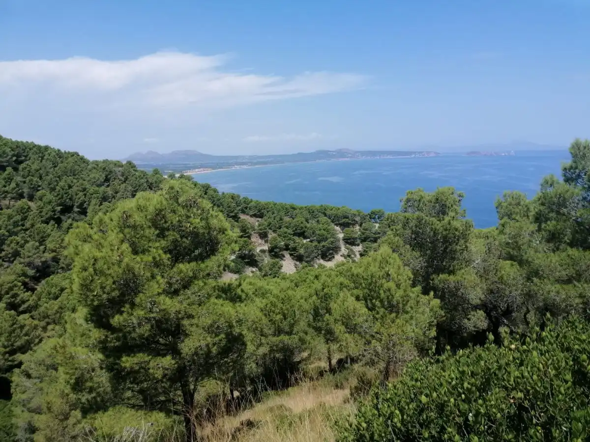 Grundstücke und Bauplätze zum Verkauf in Puig Rodo, imagen 8