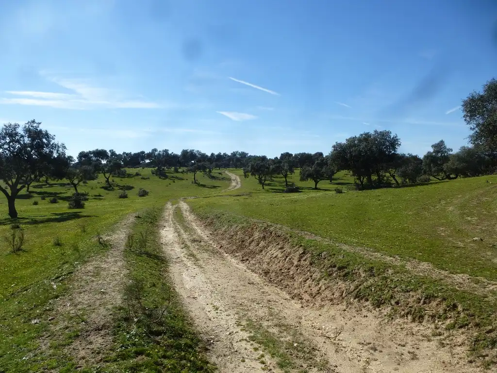 Rural land for sale in Maqueda, imagen 2
