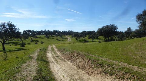 Foto 2 de Terreno en venta en Maqueda, Toledo