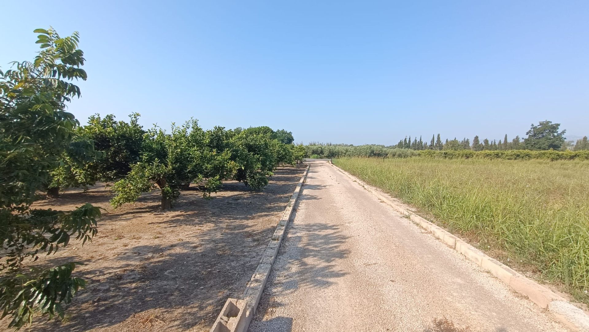 Land for sale in Tortosa