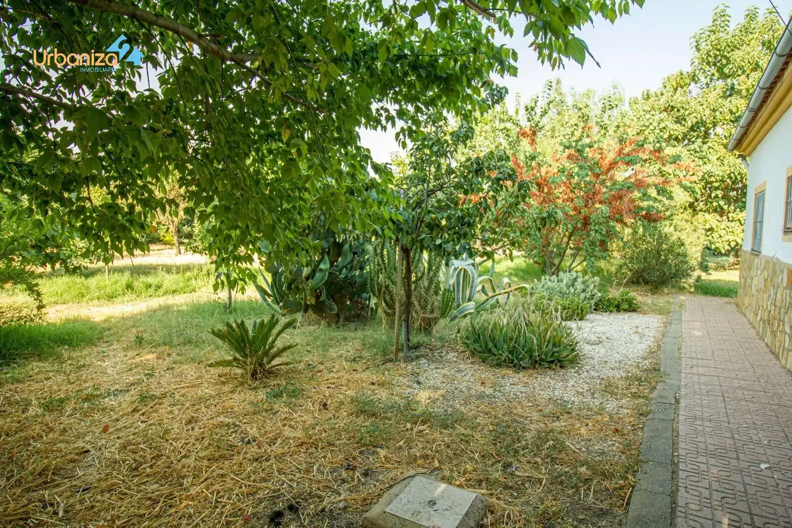 Jardín de Casa o chalet en venta en Badajoz con Calefacción, Jardín privado y Terraza