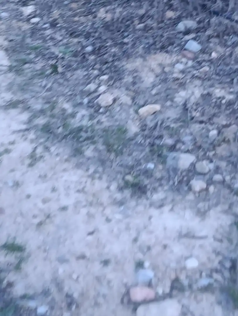 Rustikales Grundstück zum Verkauf in Cehegín, imagen 14